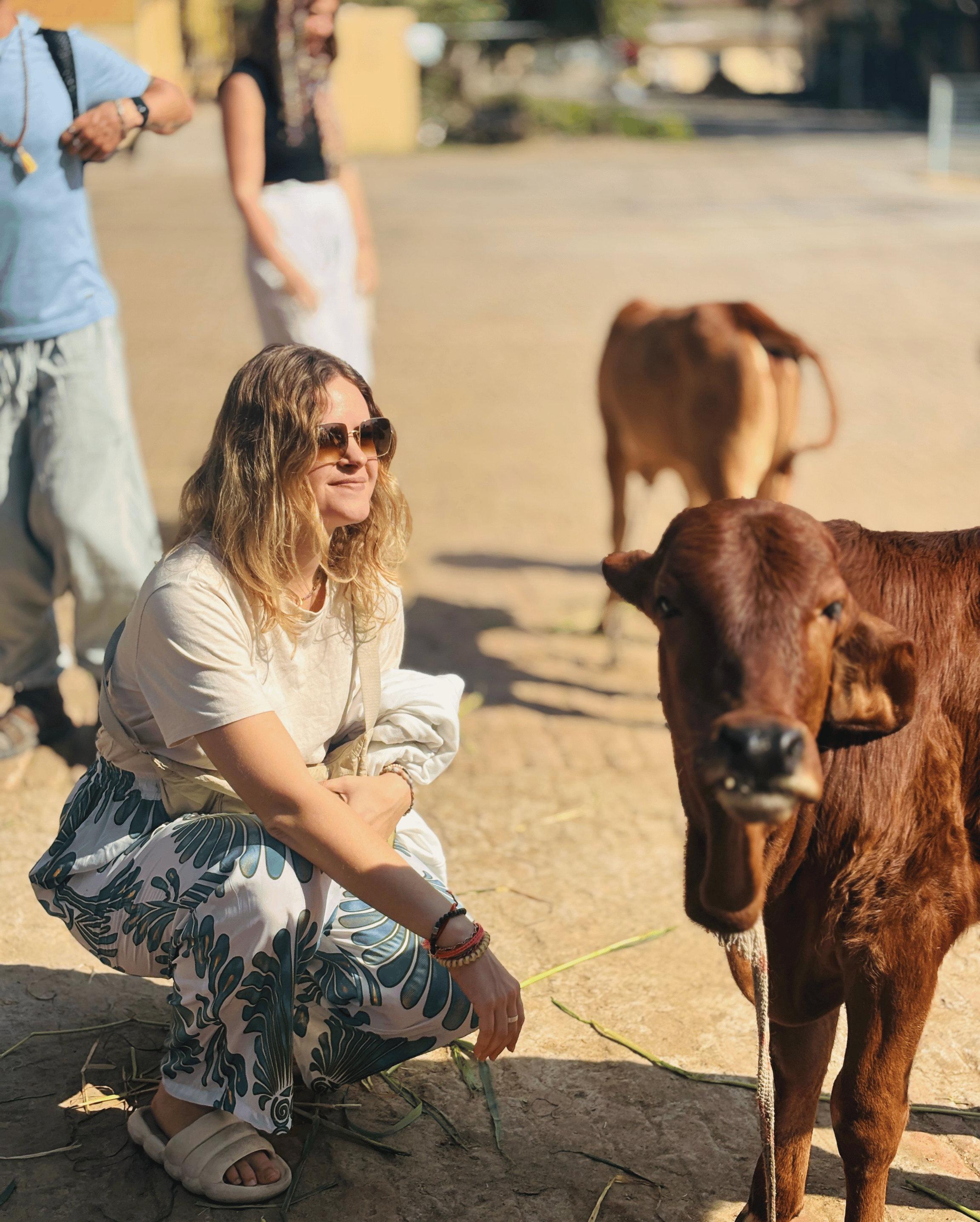 Weekend Yoga Retreat Rishikesh India — Ishavasyam Yoga School